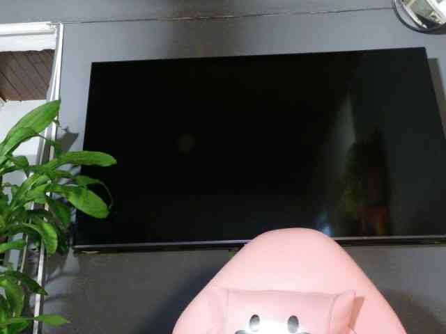 Medusa03 webcam