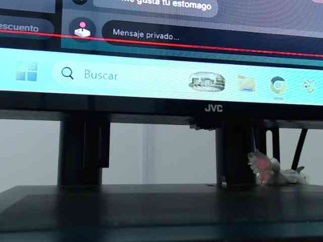 Angelita-Picante webcam