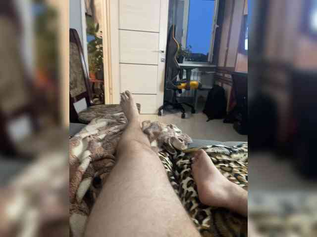 ShablJaffa Sex Cam Show