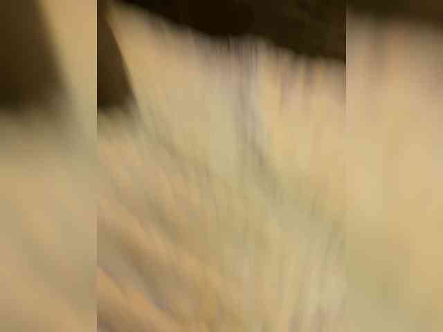 Cvetochek13 webcam