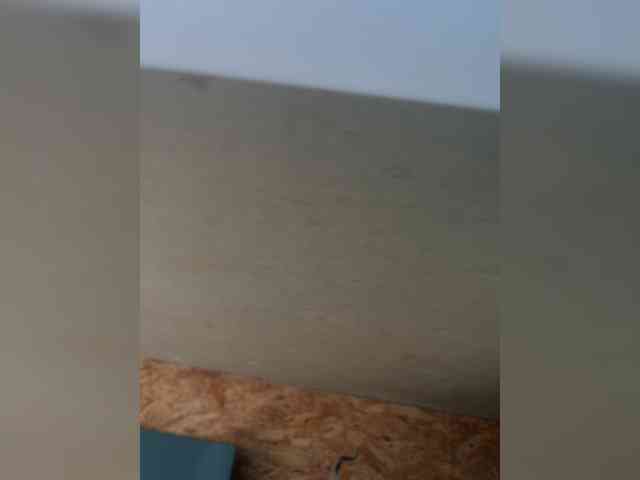 Cvetochek13 webcam