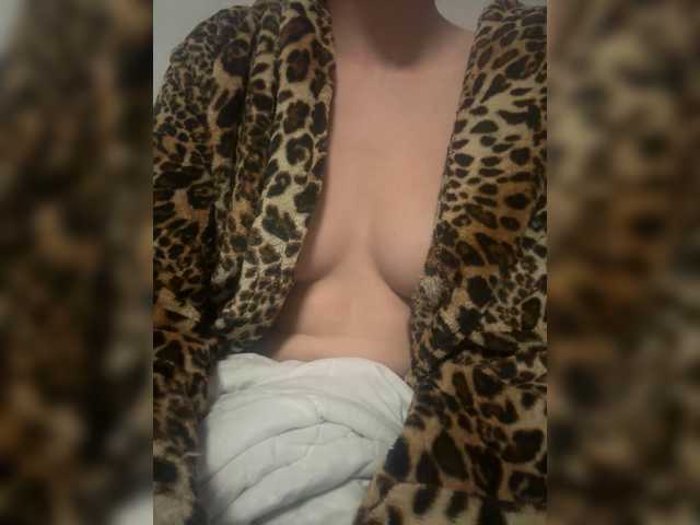 foxes2 live cam on BongaCams