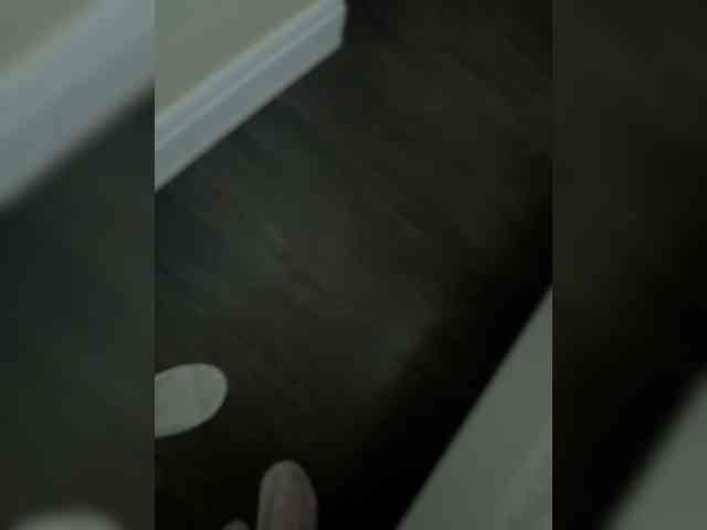 foxes2 webcam