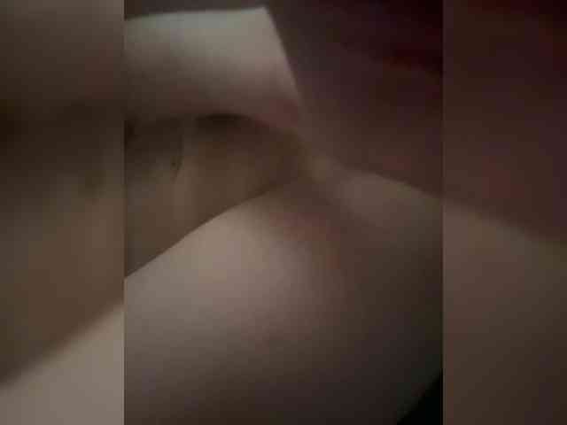 foxes2 webcam