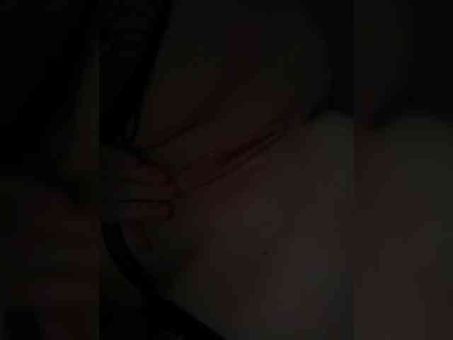 foxes2 webcam