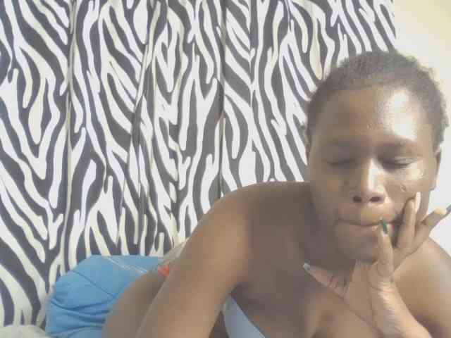 Dewebony webcam