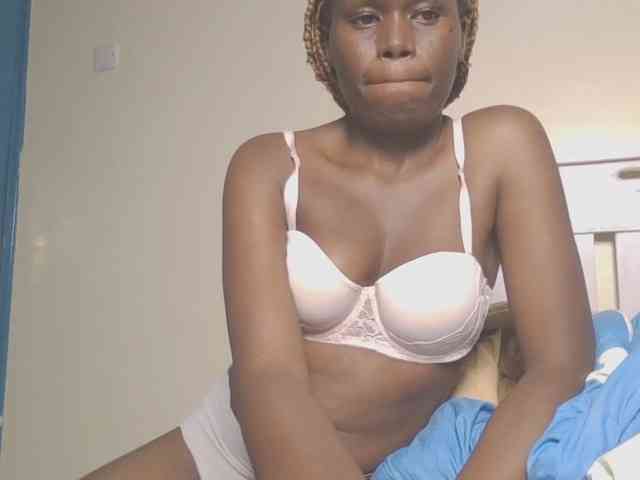 Dewebony webcam