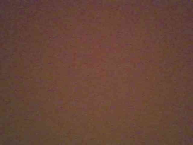 Dewebony webcam