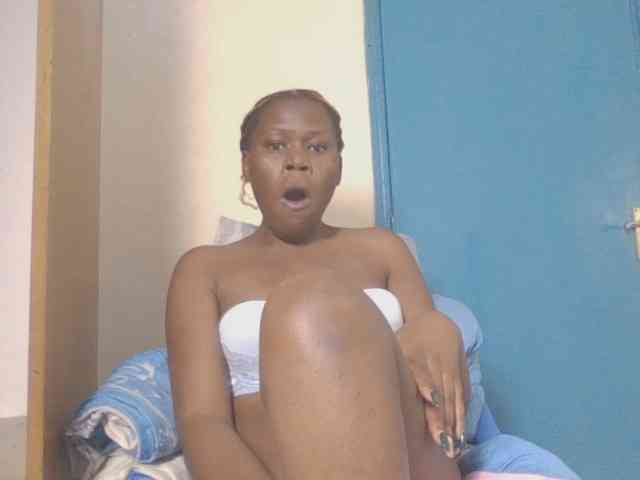 Dewebony webcam
