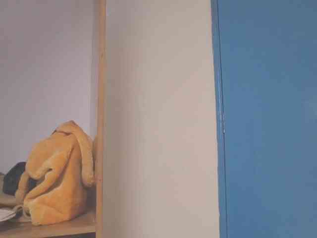 Dewebony webcam