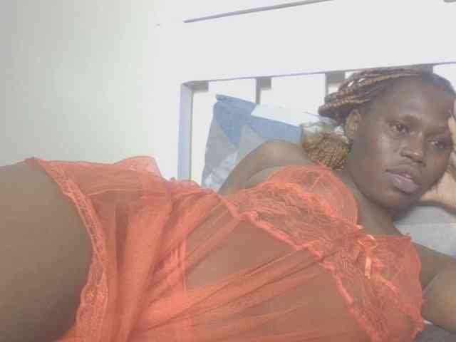 Dewebony webcam