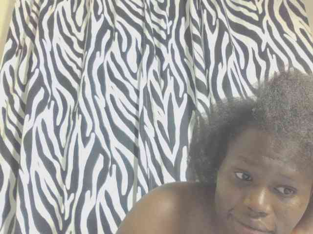 Dewebony webcam