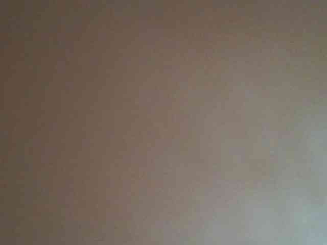 Dewebony webcam