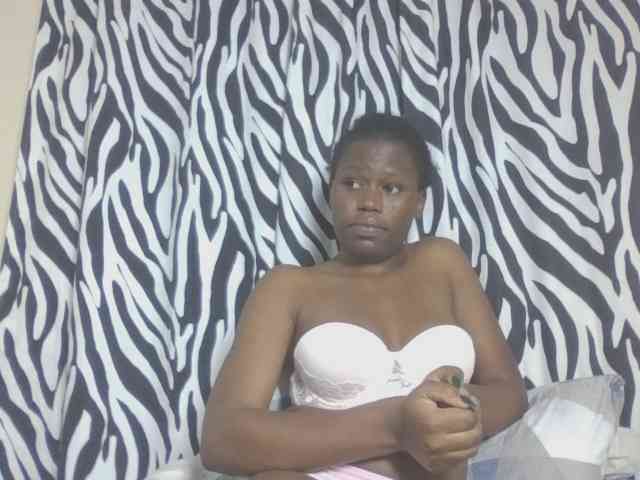 Dewebony webcam