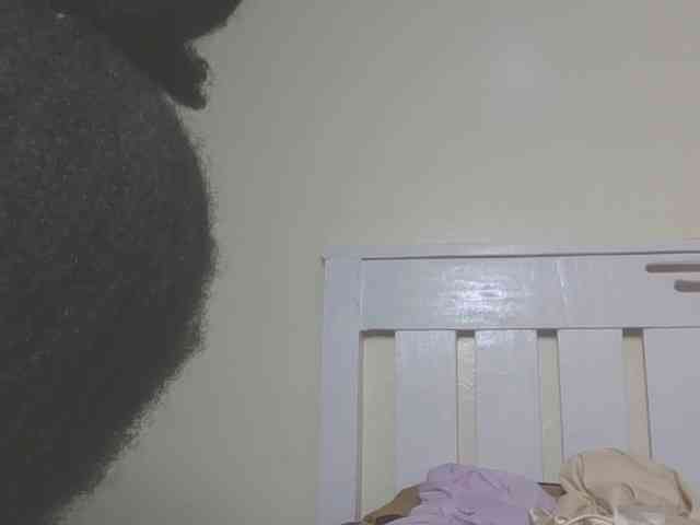 Dewebony webcam