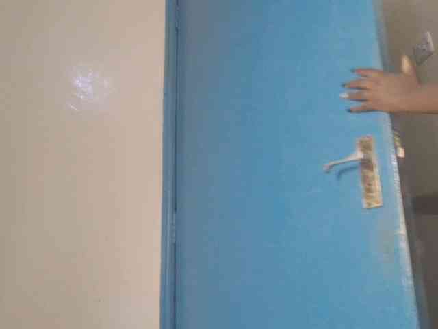 Dewebony webcam