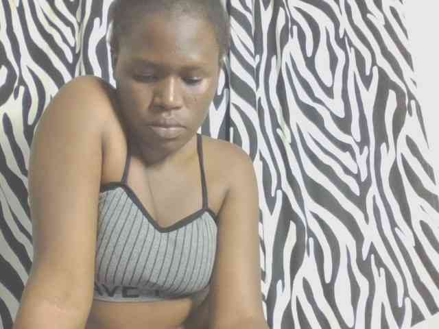 Dewebony webcam