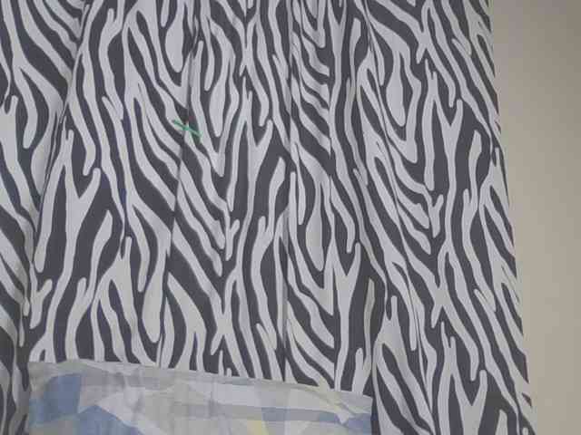 Dewebony webcam
