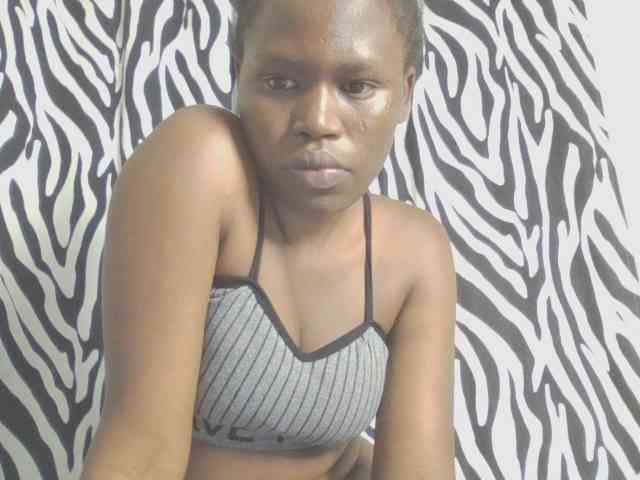 Dewebony webcam