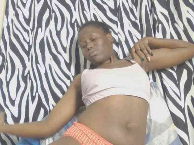 Dewebony webcam