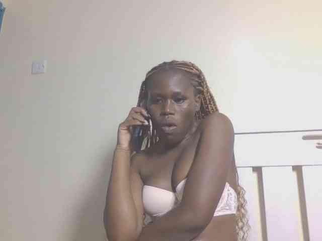 Dewebony webcam