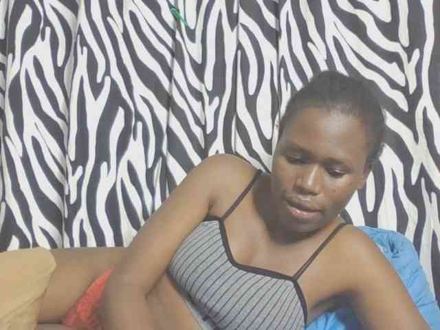 Dewebony webcam