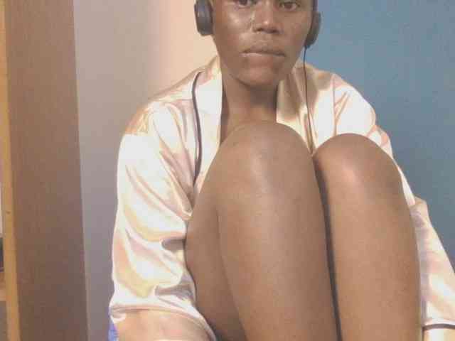 Dewebony webcam
