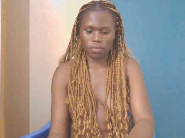 Dewebony webcam