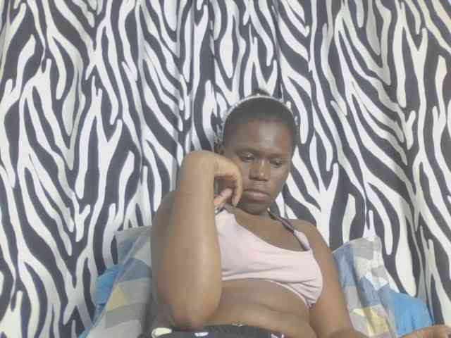 Dewebony webcam