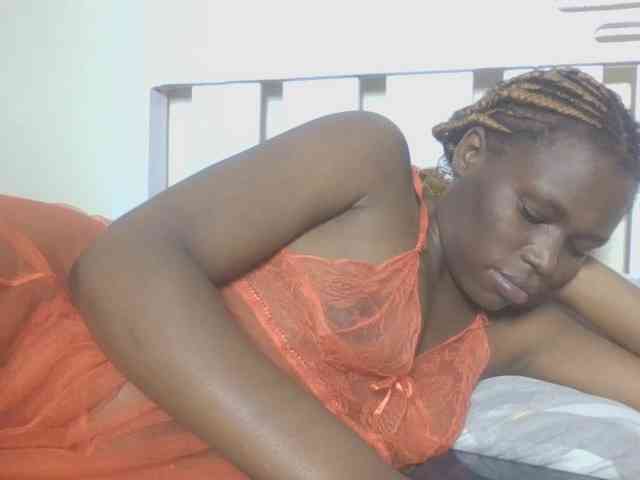 Dewebony webcam