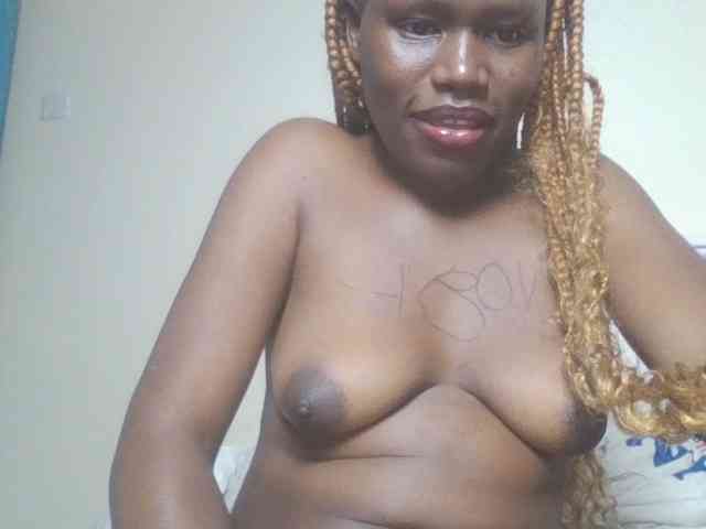 Dewebony webcam