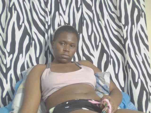 Dewebony webcam