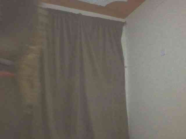 Dewebony webcam