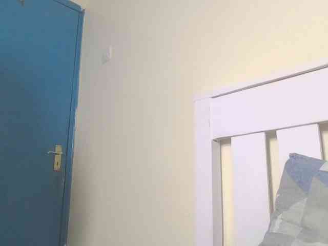 Dewebony webcam