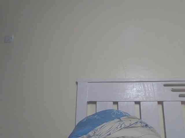 Dewebony webcam