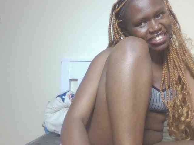 Dewebony webcam