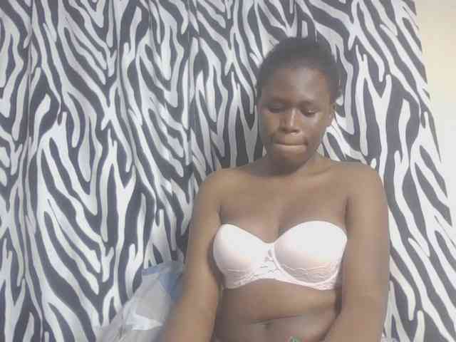 Dewebony webcam