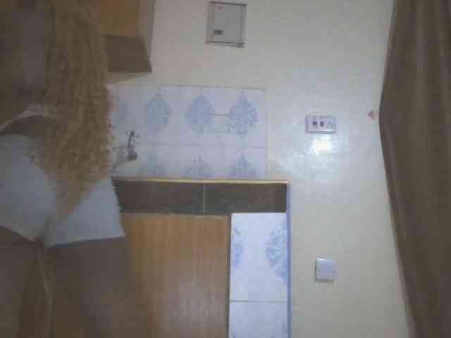 Dewebony webcam
