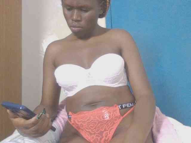 Dewebony webcam