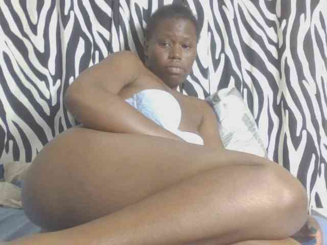 Dewebony webcam