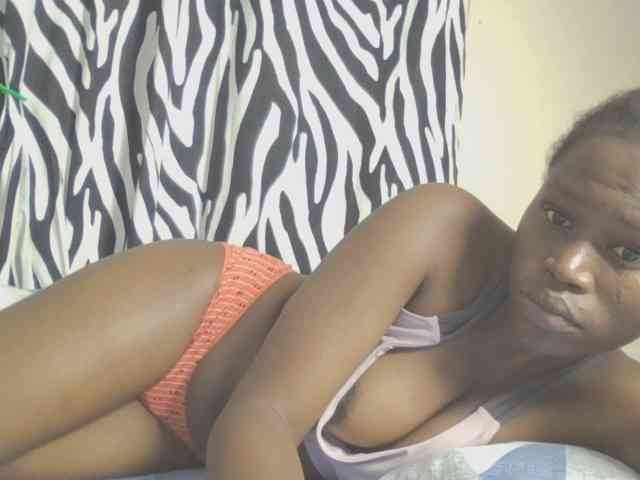 Dewebony webcam