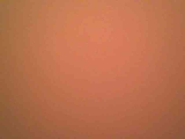 Dewebony webcam