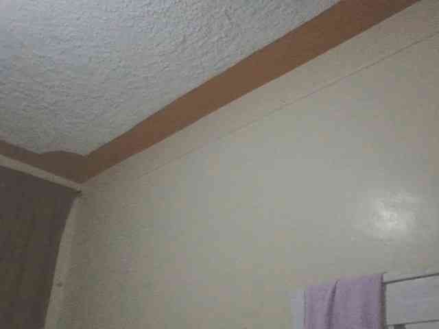 Dewebony webcam