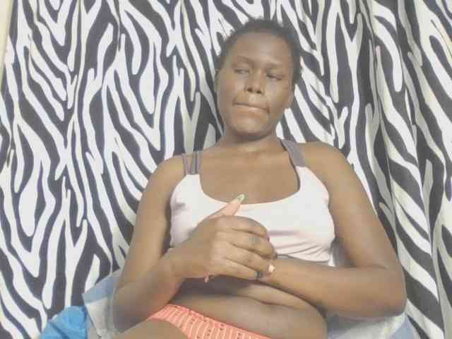 Dewebony webcam