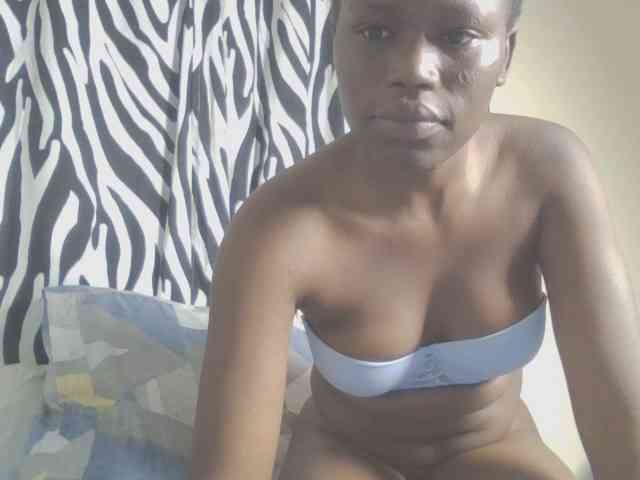 Dewebony webcam