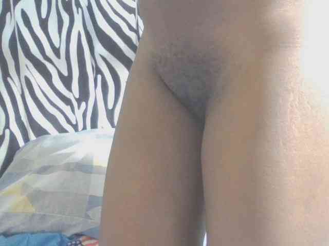 Dewebony webcam