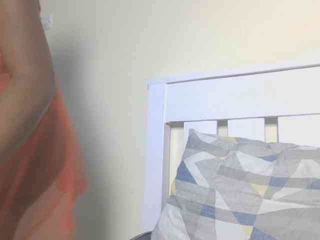 Dewebony webcam
