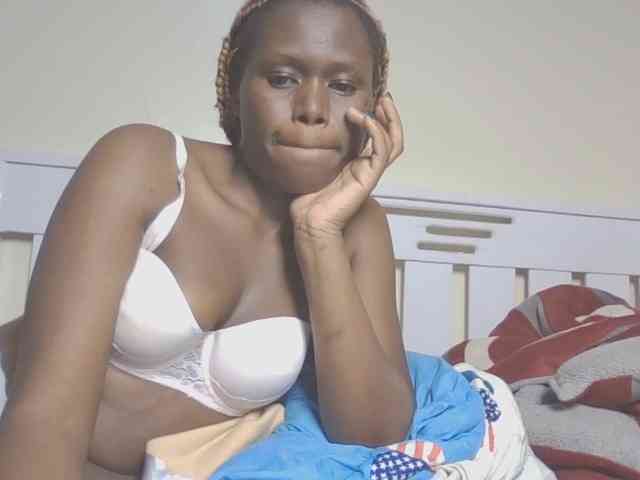 Dewebony webcam