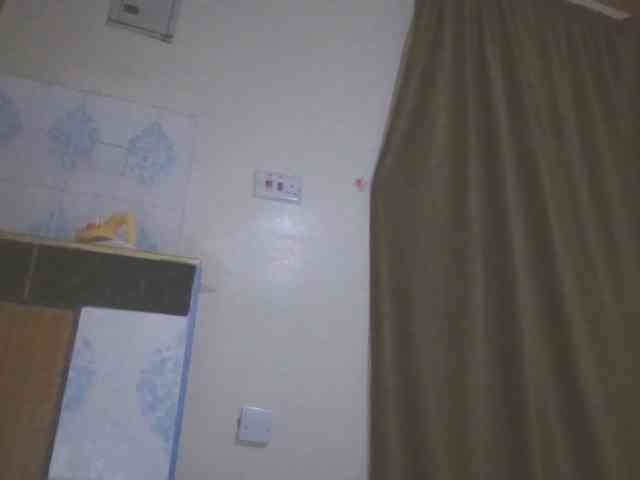 Dewebony webcam
