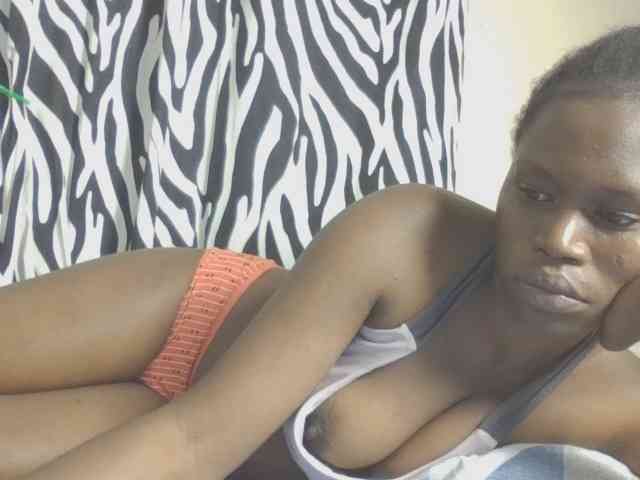 Dewebony webcam